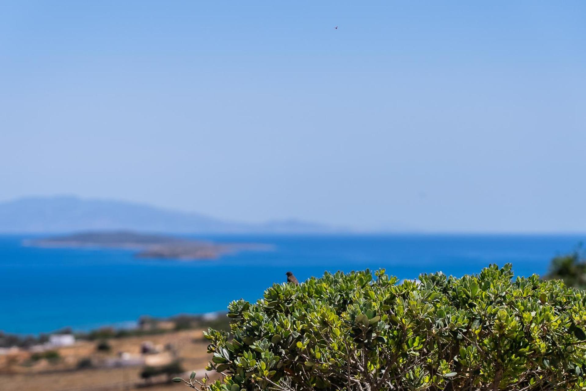 אנדיפרוס Lagadia Village מראה חיצוני תמונה